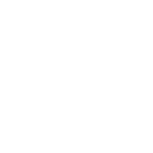 Pedorthics icon