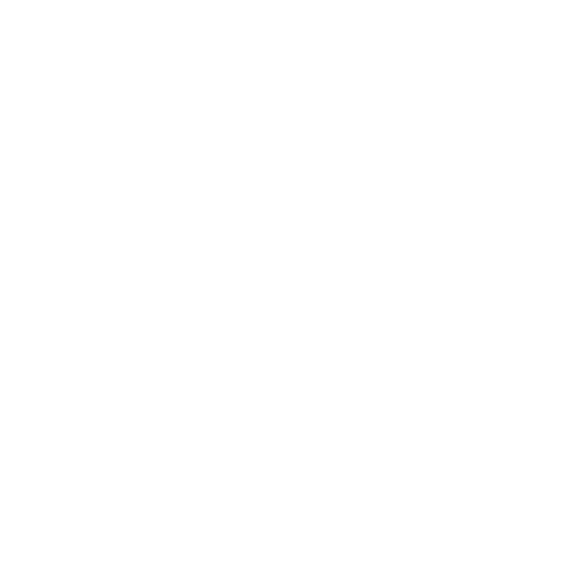 Orthotics icon