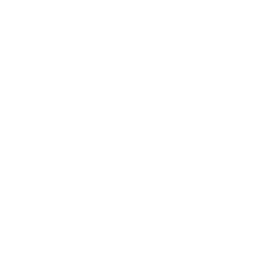 Fast Adjustments icon