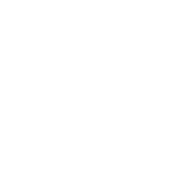 Honesty In Every Step icon