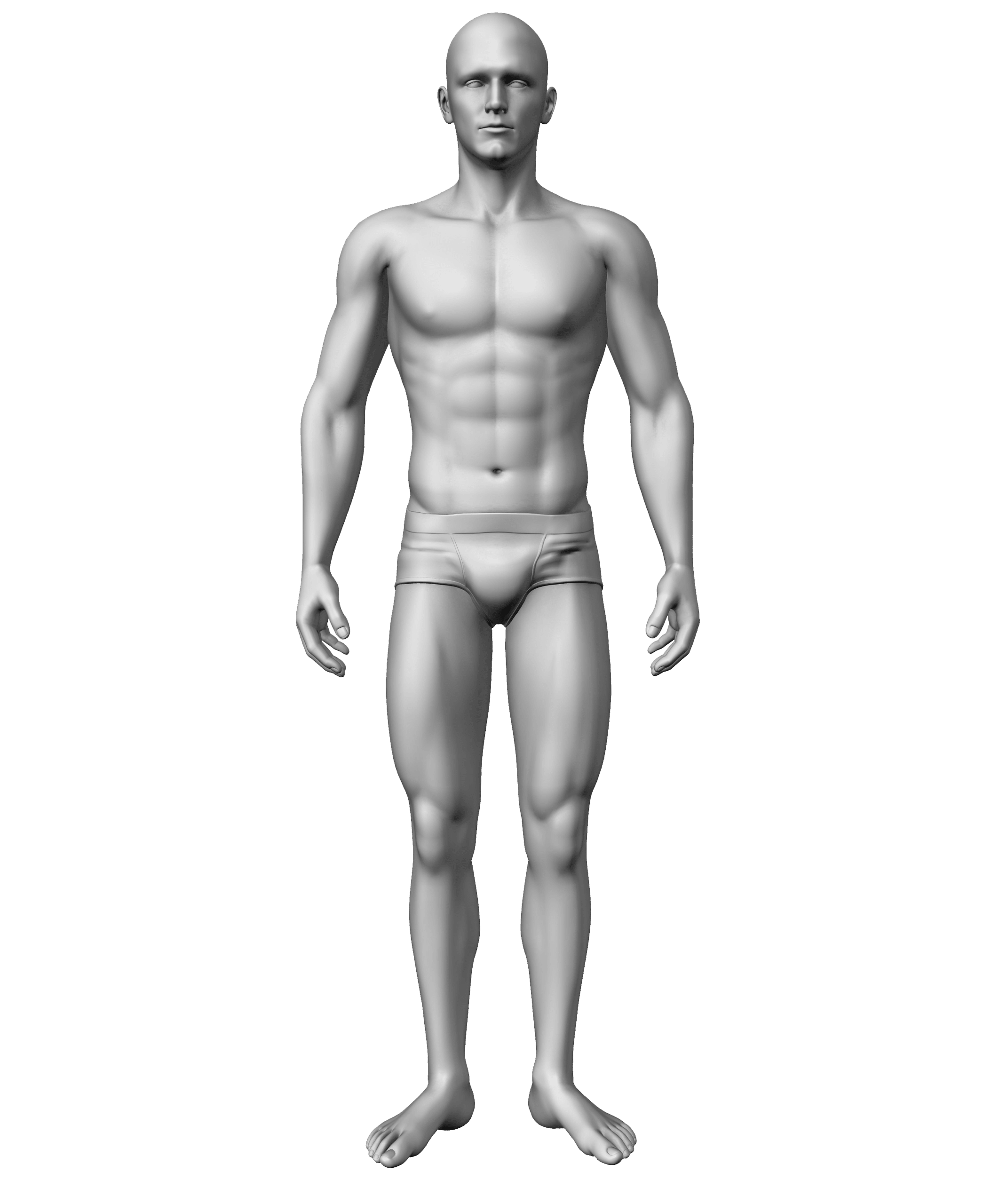 anatomical figure background