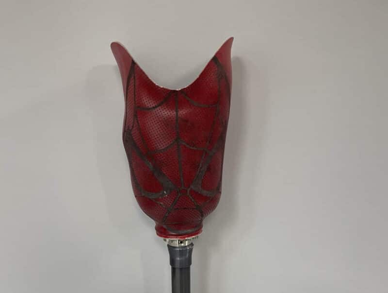 Lower Leg