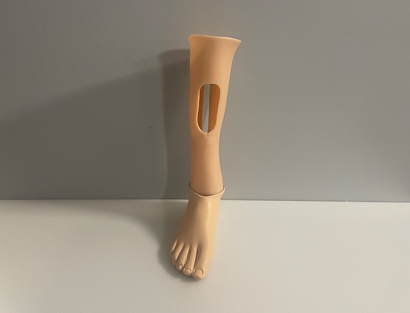 Ankle
